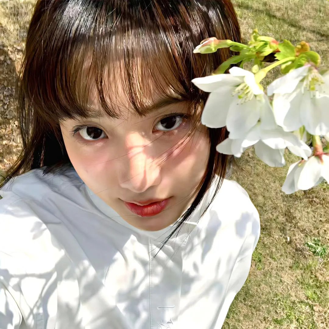 出水芙蓉国语